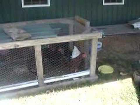 Chicken coop