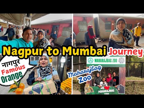 |• Maharajbag Zoo (Nagpur)🦚🐅 | Nagpur To Mumbai Journey🚂 {AFREEN DASTARKHWAN} Vlog 2024 •|