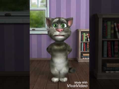 Talking tom SASI freak "SASI"