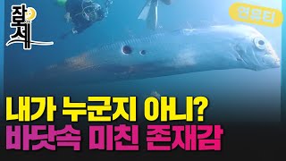 [잠못세] 무려 아파트 5층 높이 거대한 심해어 발견 왜?