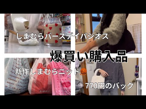 [主婦vlog]安くて高見えしまむらニット🧶/しまむら.バースデイ.パシオス購入品🛍️/午前中に夜ご飯の支度を済ませる👩‍🍳🍛