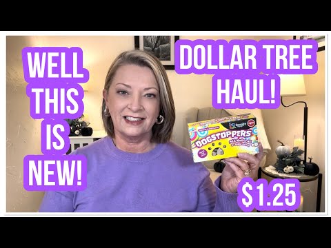 DOLLAR TREE HAUL | THIS IS NEW | FANTASTIC FINDS | $1.25 | I LOVE THE DT😊 #haul #dollartree