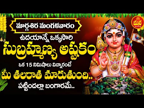 SUBRAMANYA ASHTAKAM | POWERFULL SUBRAMANYA SWAMY SONGS | POPULAR BHAKTI SONGS | TUESDAY SPECIAL SONG