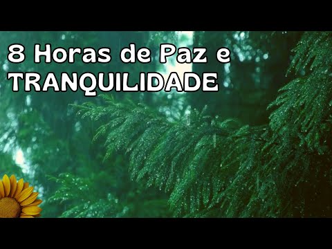 DORMIR Rápido com CHUVA RELAXANTE – 8 Horas de Paz e TRANQUILIDADE para Sua NOITE