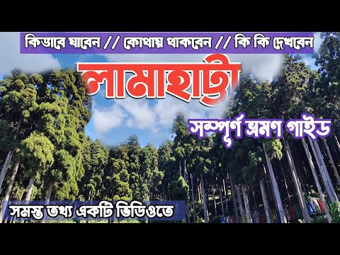 Lamahatta Tour Guide | Darjeeling Offbeat tour | লামাহাট্টা ভ্রমণ গাইড | Lamahatta