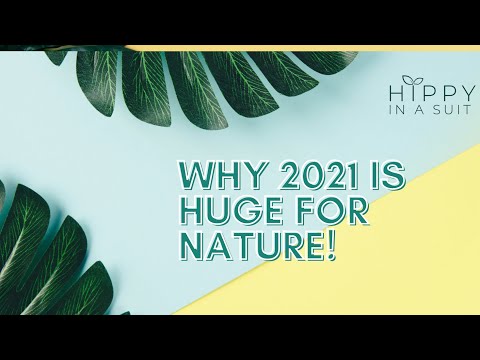 Why 2021 is a HUGE year for Nature