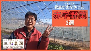 栽培したが赤字になった野菜・やらないほうが良かった・・。（2024.12.24）