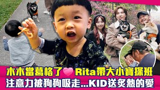 木木當葛格了❤Rita帶大小寶探班 注意力被狗狗吸走...KID送炙熱的愛│星光雲！RUN新聞