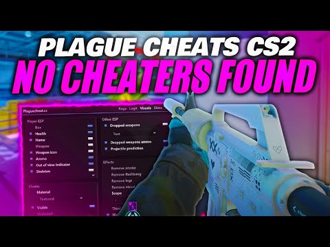 Matching Against NO CHEATERS On CS2 WINGMAN (PLAGUE CHEATS)