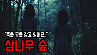 [무서운이야기 실화] 한밤 중 삼나무 숲에서 마주한 소녀들 ㅣ 소름주의 ㅣ 공포학과