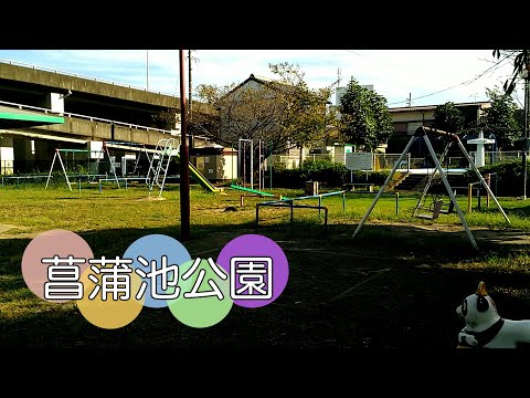 桜が綺麗で小さな川がある公園【菖蒲池公園】