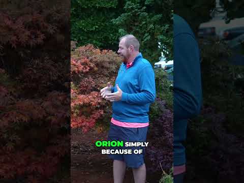 Why You Should Plant Japanese Maple Orion for Stunning Fall Colors