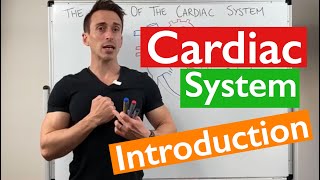 Introduction to the Cardiac System