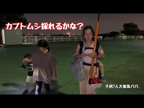 【子供7人大家族パパ】大阪の某公園 カブトムシ 仕掛け