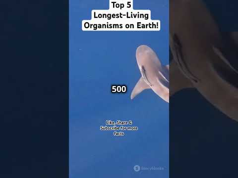 Top 5 Longest-Living Organisms on Earth! #ytshorts #facts #science  #educationalshorts #nature #love