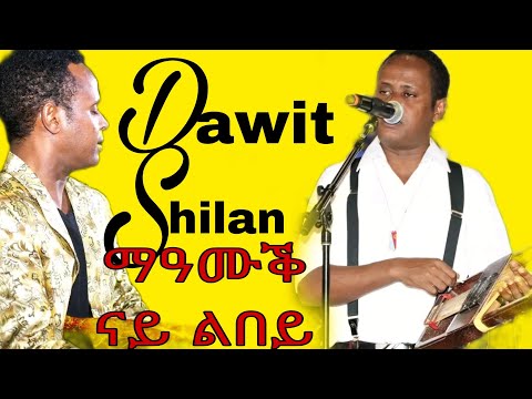 Eritrean New Music Dawit Shilan 2024