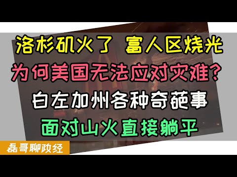 洛杉矶火了！富人区没了！为何美国无法应对灾难？白左加州奇葩横行，面对山火直接躺平