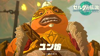 ゲーム史上最高傑作と名高い神ゲー『 ゼルダの伝説 ティアーズ オブ ザ キングダム 』#8