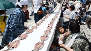 ひもの３２８７枚　「最も長い食用魚の列」世界一に挑戦