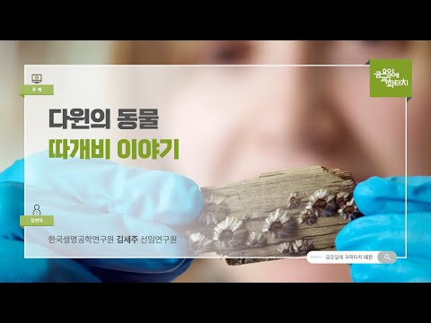 24.10.11 금요일에 과학터치(대전) - 다윈의 동물 따개비 이야기