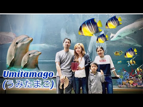 大分マリーンパレス水族館  「うみたまご」Umi tamago in Oita