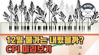 12월 CPI 미리보기 - 생산자 물가지수는 하회인데.. 이런...