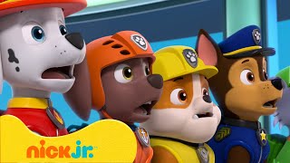 PAW Patrol | Die waghalsigsten Wachturmsabenteuer! Mit Chase & Skye | Nick Jr. Deutschland