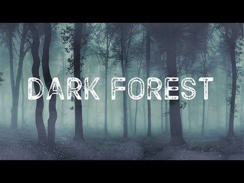 DARK FOREST | AMBIENCE, HAUNTING ATMOSPHERE, D&D, ASMR