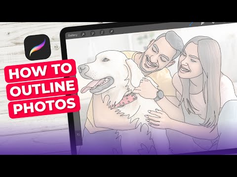 How To Outline An Image In Procreate