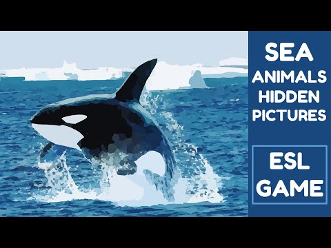 Learn English Sea Animals | Hidden Pictures Game | ESL Game