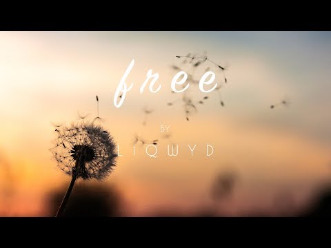 LiQWYD - Free [Official]