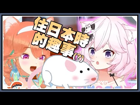 被超大變異老鼠嚇到尖叫的店長Kiara！｜Takanashi Kiara【Hololive-EN】/Nyanners【Vshojo】｜Vtuber精華｜【Clubhouse Games: 51】