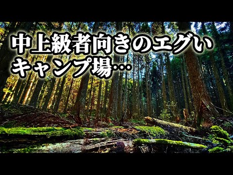 えっ、、、ここキャンプ場？いい意味でそのまんまの野営地があった！　鳳来の森　in愛知県