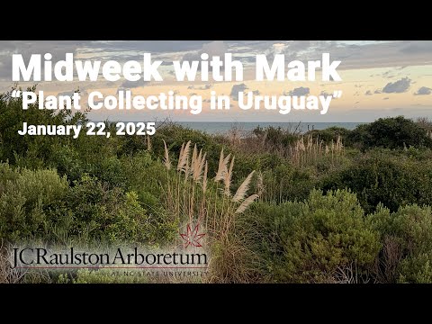 Midweek with Mark - "Plant Collecting in Uruguay"