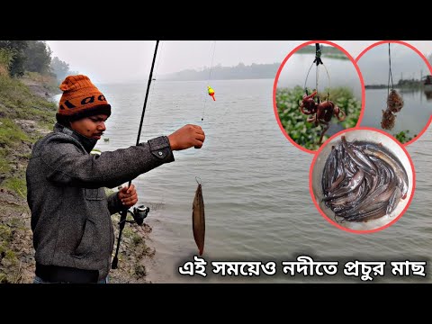 শীতকালে দেশিও মাছ শিকারের টোপ ও কৌশল || Fishing Tips and Bait || SA Fishing BD ||