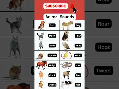 Animal Sounds |#english|#gk|#englishgrammar|#englishgrammar#education