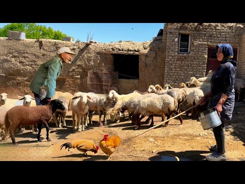 Wonders of Iran's Nomads in Mountains : A Visual Journey Through Iran's Mountain Villages