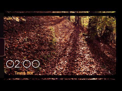 2 Minute Timer Autumn Forest Walk 🍁 Relaxation, Mindfulness, Nature Ambience | #AutumnForestTimer