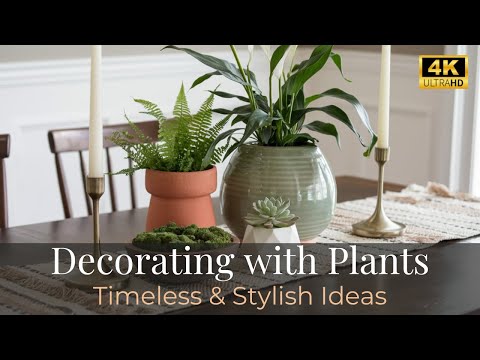 Decorating with Plants | Timeless & Stylish Greenery Inspiration for Every Space