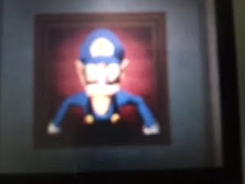 Waluigi Unlocked in SM64DS