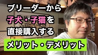 ブリーダーで犬を飼うメリット・デメリットをペットショップ店長が解説します