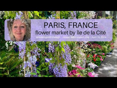 A beautiful #spring day in #paris and a stop at the #flowermarket  #Marché aux Fleurs #dayinthelife