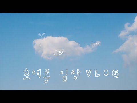 북튜버 채널 준비하는 일상 vlog | 서울 작은 단독주택 마당 풍경