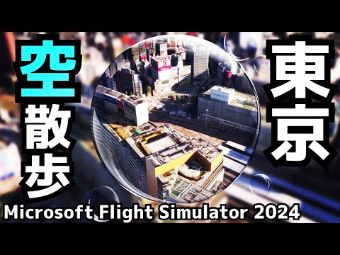 【Microsoft Flight Simulator 2024】東京を空から見てみよう