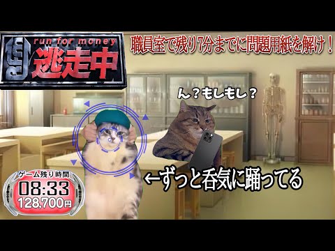 逃走中をすることになった猫たちの日常パート２【猫ミーム】【猫マニ】