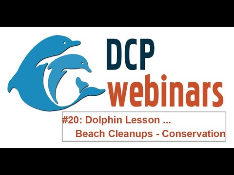 DCP Dolphin Lesson: Conservation – Why clean the beach?