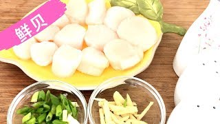 鲜贝 - 鲜嫩不缩水的诀窍!  【EngSub中文】| Scallops - The secret of tender and not shrink