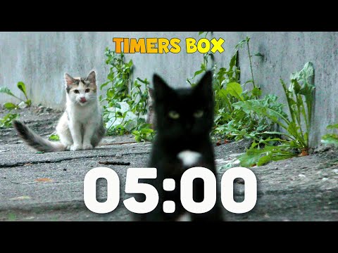 🐾 Cute Kittens 5 Minute Timer for Classroom ⏰ | Fun & Educational for Kids & Teachers 🧑‍🏫🐱