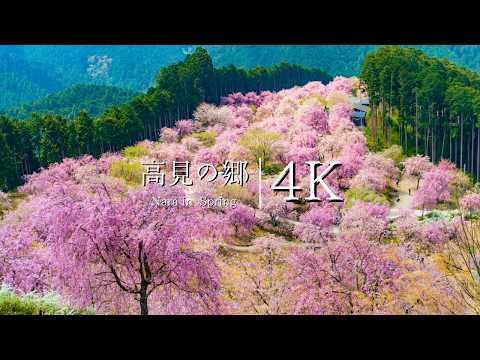 [The paradise in the sky] Visit Takami no Sato - JAPAN in 4K