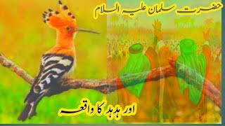 Hazrat Suleman alaihis Salam Aur Hud Hud Ka Waqia Badshah Hukumran Malika Balkise ka Kabila -Story